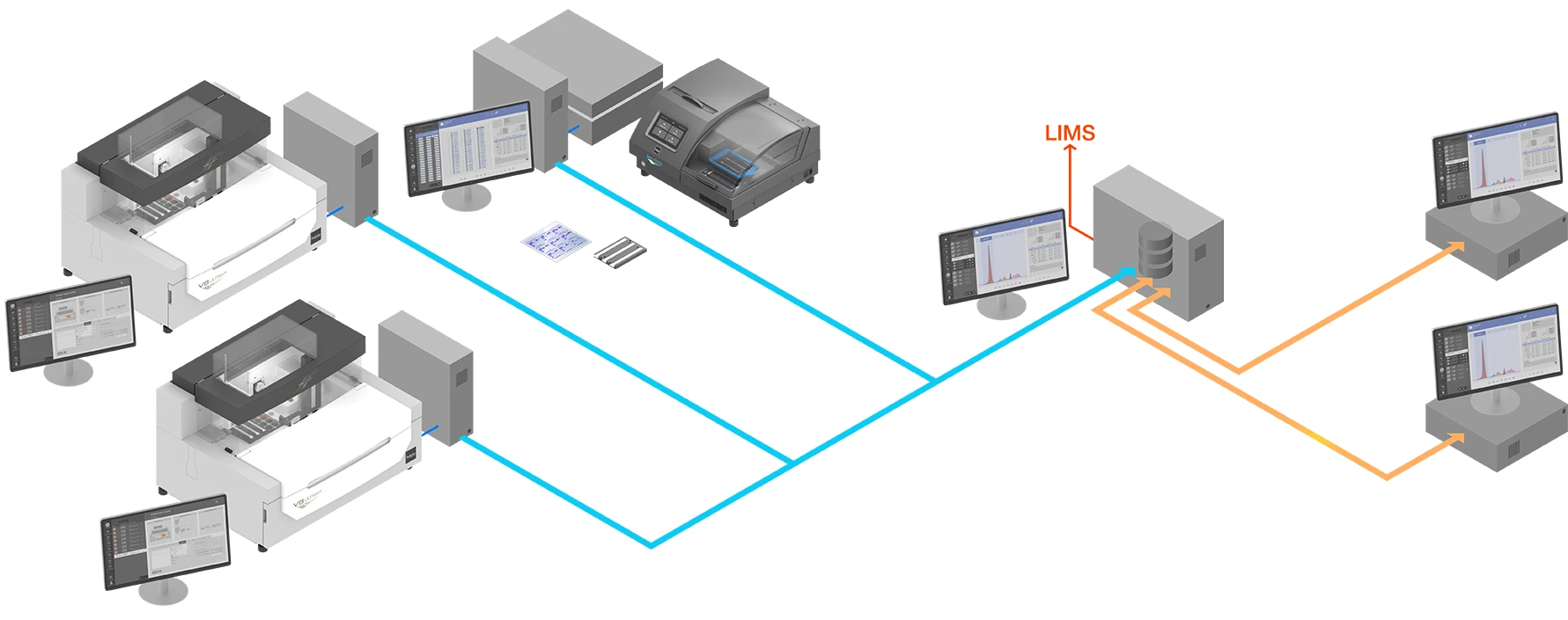 network helena